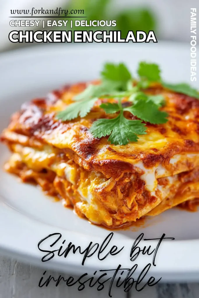 Family-Friendly Chicken Enchilada Casserole Shredded chicken with enchilada sauce and tortillas in slow cooker
