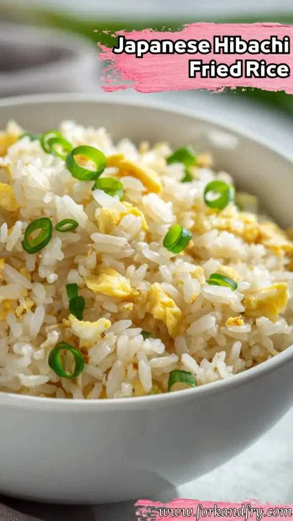 close-up of Japanese hibachi fried rice with egg and green onion in a white bowl