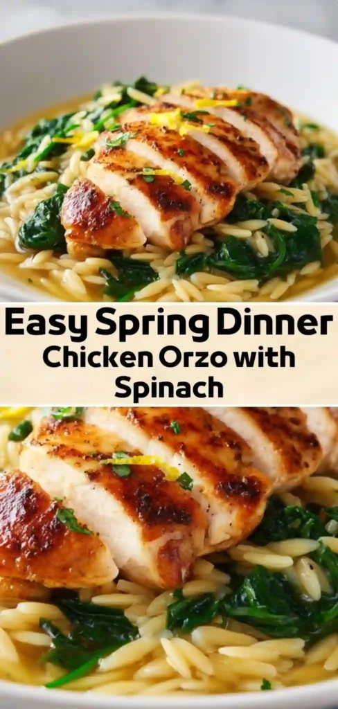 Seared chicken breast over lemon orzo with sautéed spinach in light broth