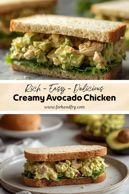 Creamy avocado chicken sandwich with lettuce on toasted bread